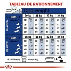 Royal Canin - Croquettes Maxi Adulte 5+ Pour Chien Adulte - 15Kg 12 Royal Canin - Croquettes Maxi Adulte 5+ Pour Chien Adulte - 15Kg -CrocForm Boutique 66836