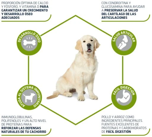 Advance Maxi Junior Poulet Et Riz 5 Advance Maxi Junior Poulet Et Riz – Image 3