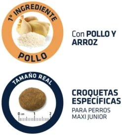 Advance Maxi Junior Poulet Et Riz 12 Advance Maxi Junior Poulet Et Riz -CrocForm Boutique 70 4 4 g