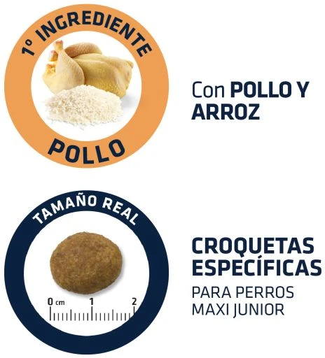 Advance Maxi Junior Poulet Et Riz 6 Advance Maxi Junior Poulet Et Riz – Image 4