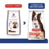 Hill's Science Plan VetEssentials Canine Healthy Digestive Biome Medium 10 Kg 1 Hill's Science Plan VetEssentials Canine Healthy Digestive Biome Medium 10 Kg -CrocForm Boutique hill s science plan vetessentials canine healthy digestive biome medium 10 kg 2