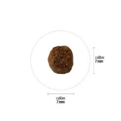 Croquettes Perro Basic - Piccolo -CrocForm Boutique perro croquettes perro basic piccolo 181050 1