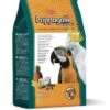 Padovan Aliment Grandmix Pappagalli 2 Padovan Aliment Grandmix Pappagalli -CrocForm Boutique pienso grandmix pappagalli 1
