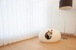 Litière Ou Niche Design Pour Chat Poopoopeedo -CrocForm Boutique poopoopeedoo blanc chien