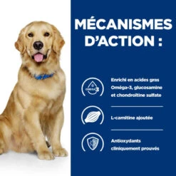 Hill's Prescription Diet J/d Reduced Calorie Croquettes Pour Chien Au Poulet 14 Hill's Prescription Diet J/d Reduced Calorie Croquettes Pour Chien Au Poulet -CrocForm Boutique prescription diet jd reduced calorie croquettes pour chien au poulet 4
