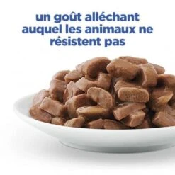 Vet Essentials Chat Multi-Benefit + Weight Adult Poulet Sachets Repas 13 Vet Essentials Chat Multi-Benefit + Weight Adult Poulet Sachets Repas -CrocForm Boutique vet essentials chat multi benefit weight adult poulet sachets repas 3