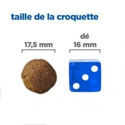 Vet Essentials Chien Multi-Benefit + Digestion Adulte+ Large Breed -CrocForm Boutique vet essentials chien multi benefit digestion ad1 lar br sac de 14 kg 2