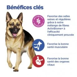 Vet Essentials Chien Multi-Benefit + Digestion Adulte+ Large Breed -CrocForm Boutique vet essentials chien multi benefit digestion ad1 lar br sac de 14 kg 5