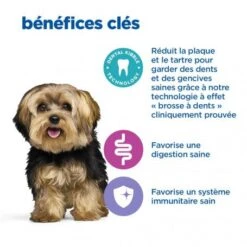 Vet Essentials Chien Multi-Benefit+Dental Adult 1+ Small & Mini -CrocForm Boutique vet essentials chien multi benefitdental adult 1 sm mp 4