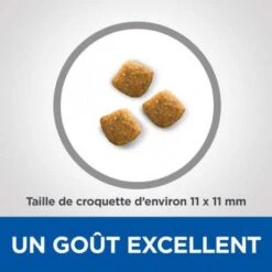 Vet Essentials Feline Young Adult Dental Health 9 Vet Essentials Feline Young Adult Dental Health -CrocForm Boutique vetessentials feline young adult dental health 3